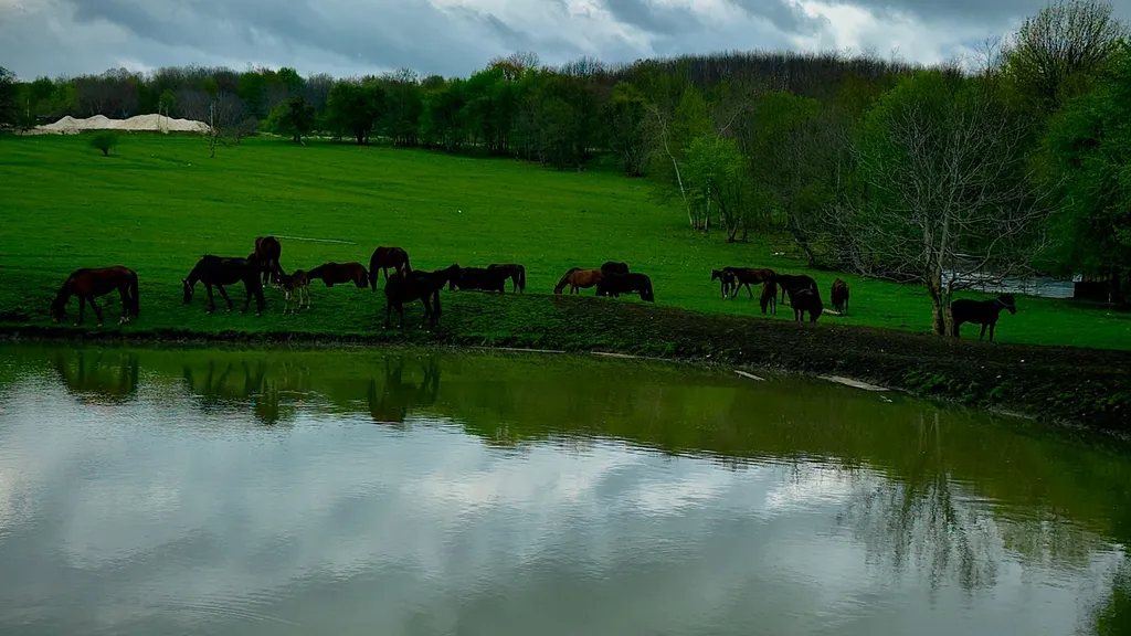 Отдых в горах А-Ферма Хаджох