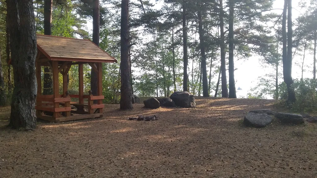 Коттедж Академическая дача (коттедж) у Финского залива, Зеленогорск-Смолячково — Санкт-Петербург