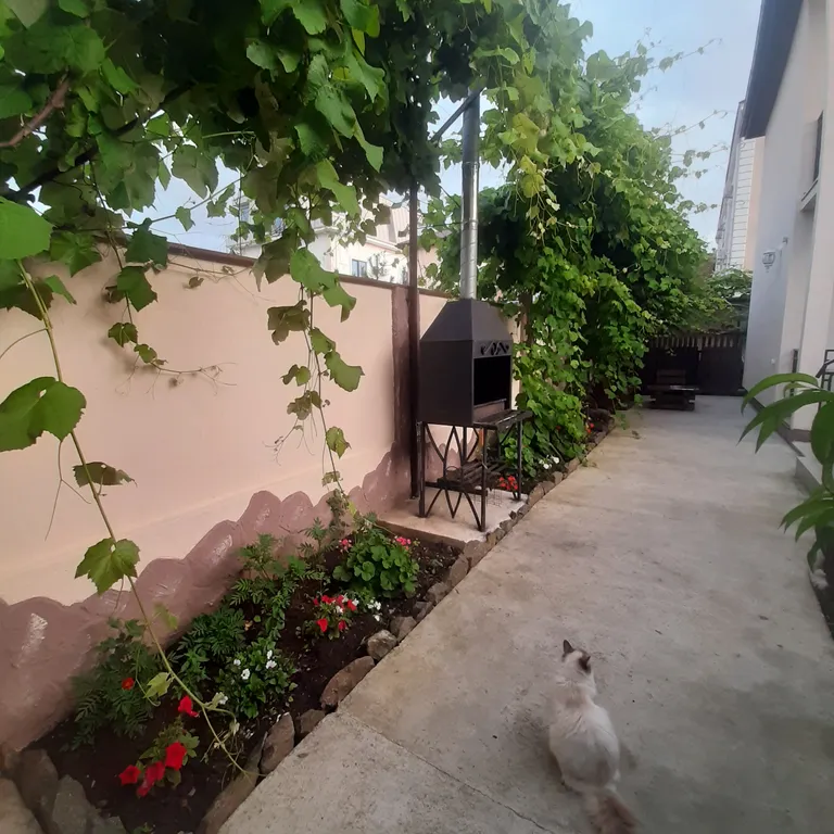 Квартира Квартира-студия в Сириусе — Сириус