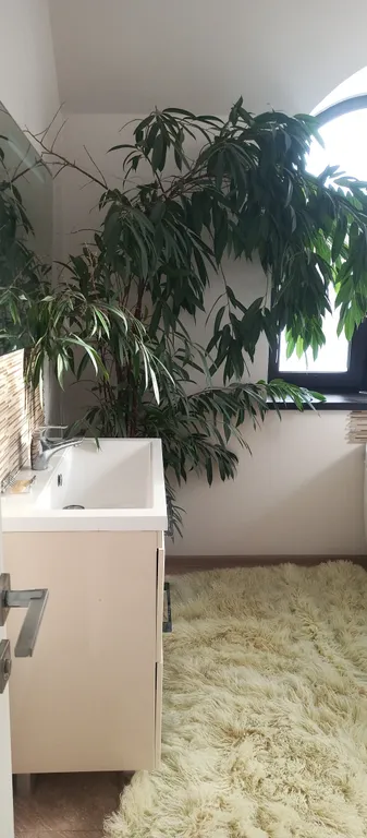 Стильный дом у реки с баней