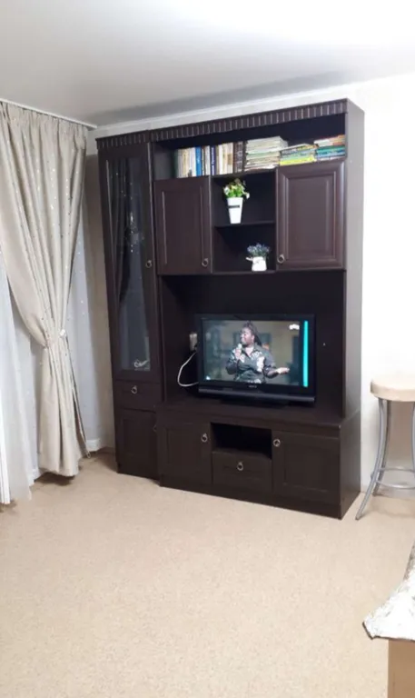 Уютная полуторка в центре