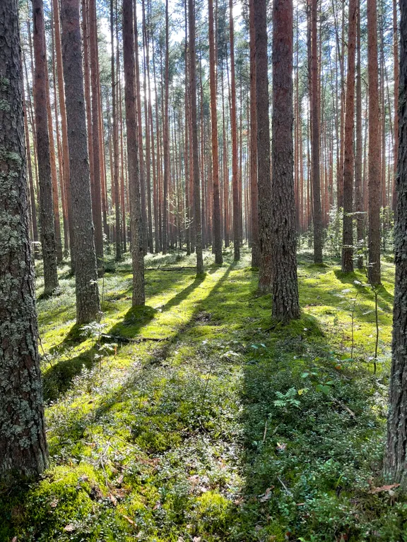 Уютный дом возле знаменитого Плещеева озера