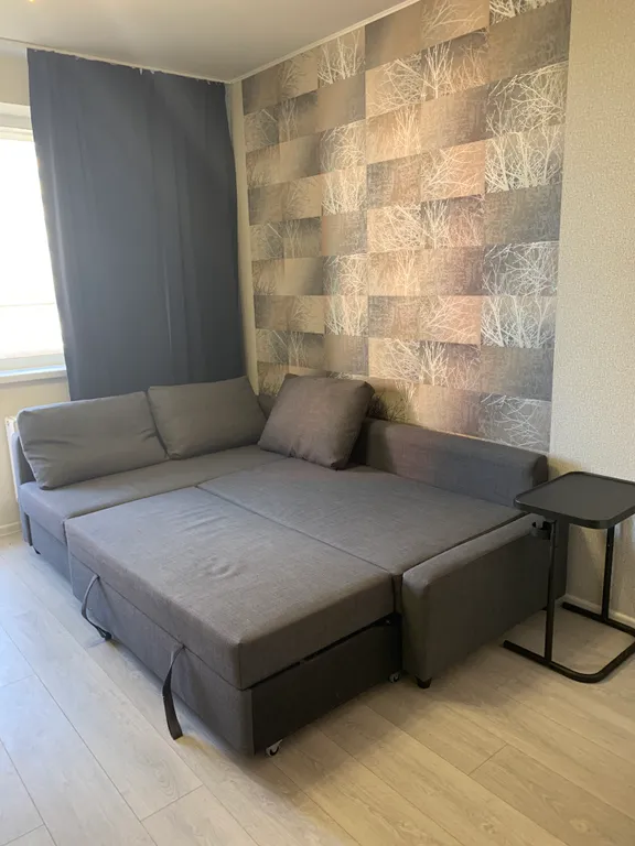 Студия у метро Девяткино