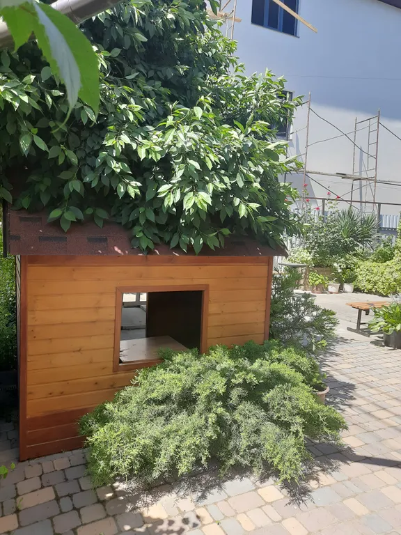 Двухкомнатная студия с мини кухней