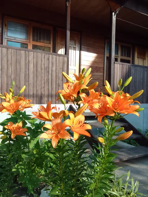 Квартира Комната — аренда посуточно в Гячрыпш