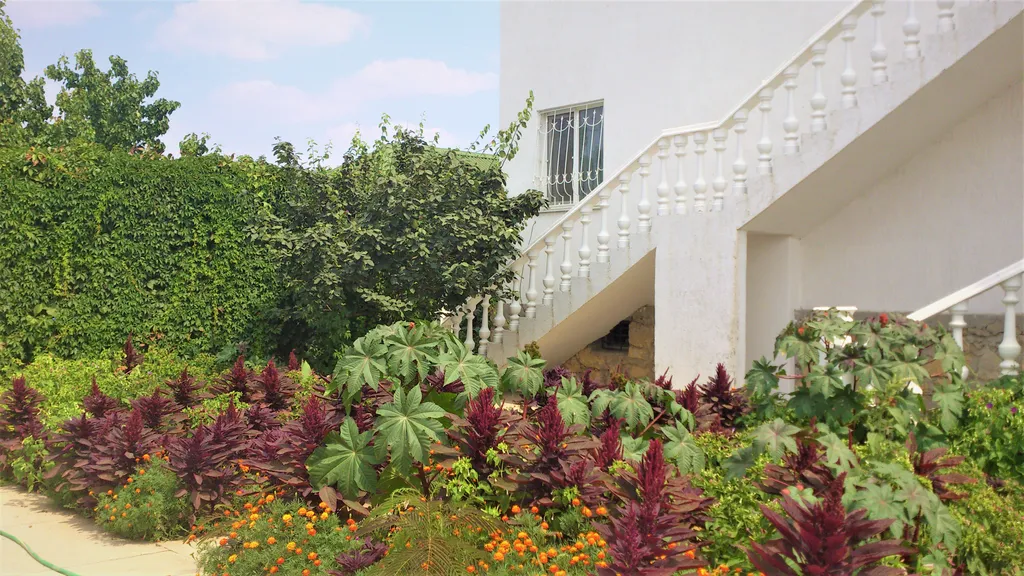 Семейный с кухней на 4 человека