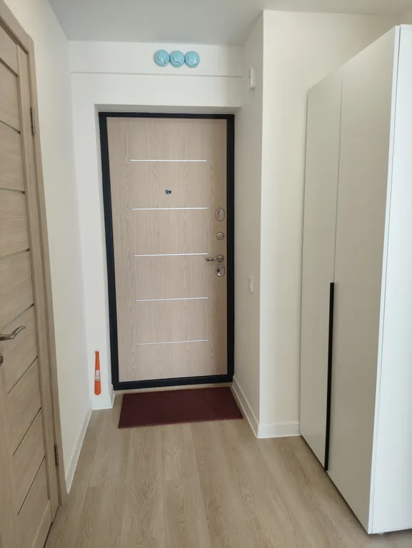 1-комнатная квартира с обзорным видом на город и лес