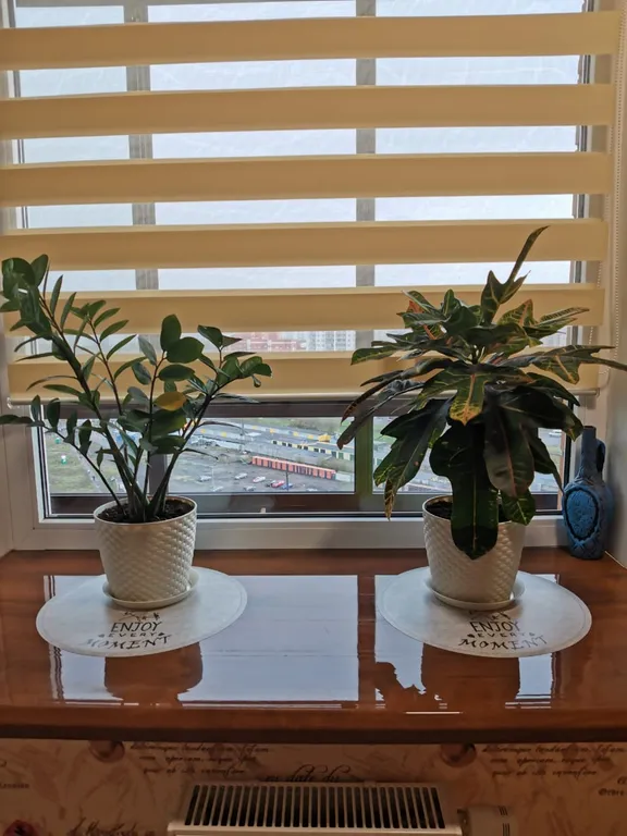 Видовая квартира в Оккервиль