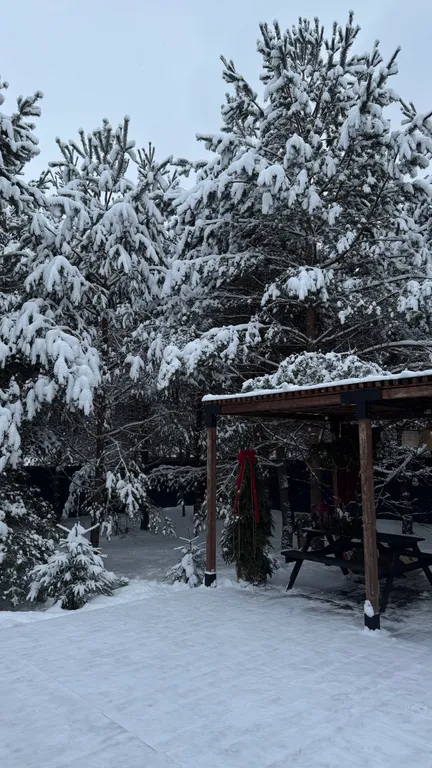 Скандинавский дом с ванной внутри и видом на лес