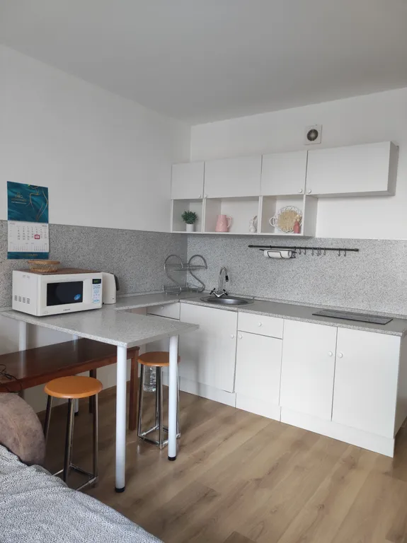 Квартира 1-комнатная Квартира — Песочный