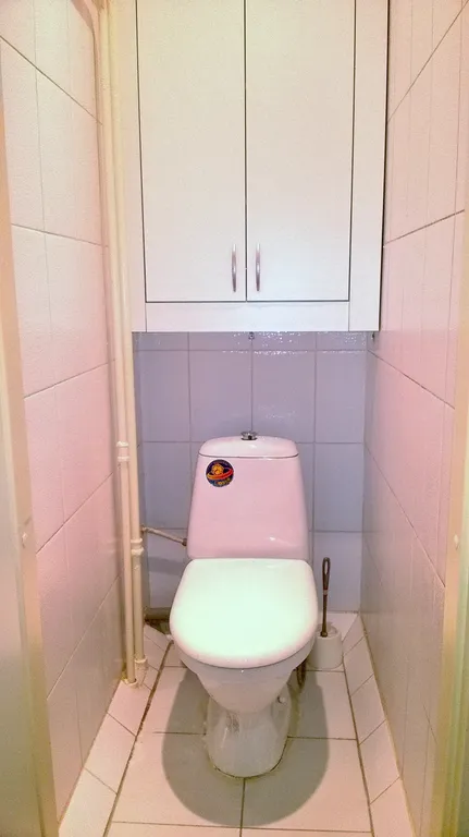 Самый красивый мост и центр рядом