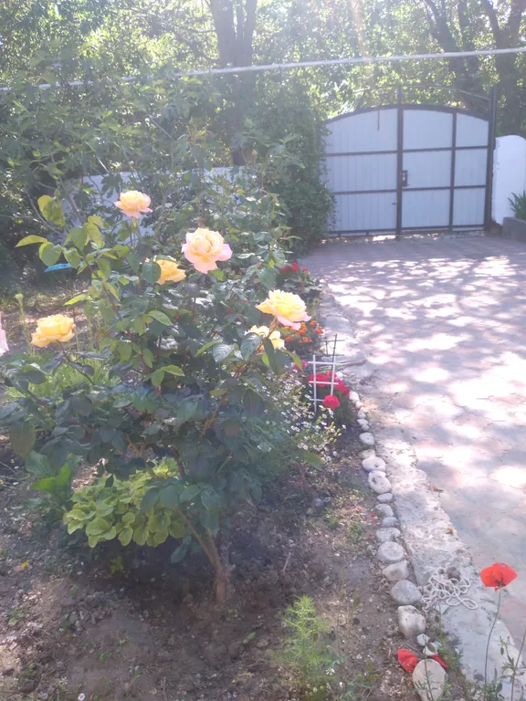 Отдельные апартаменты рядом с морем