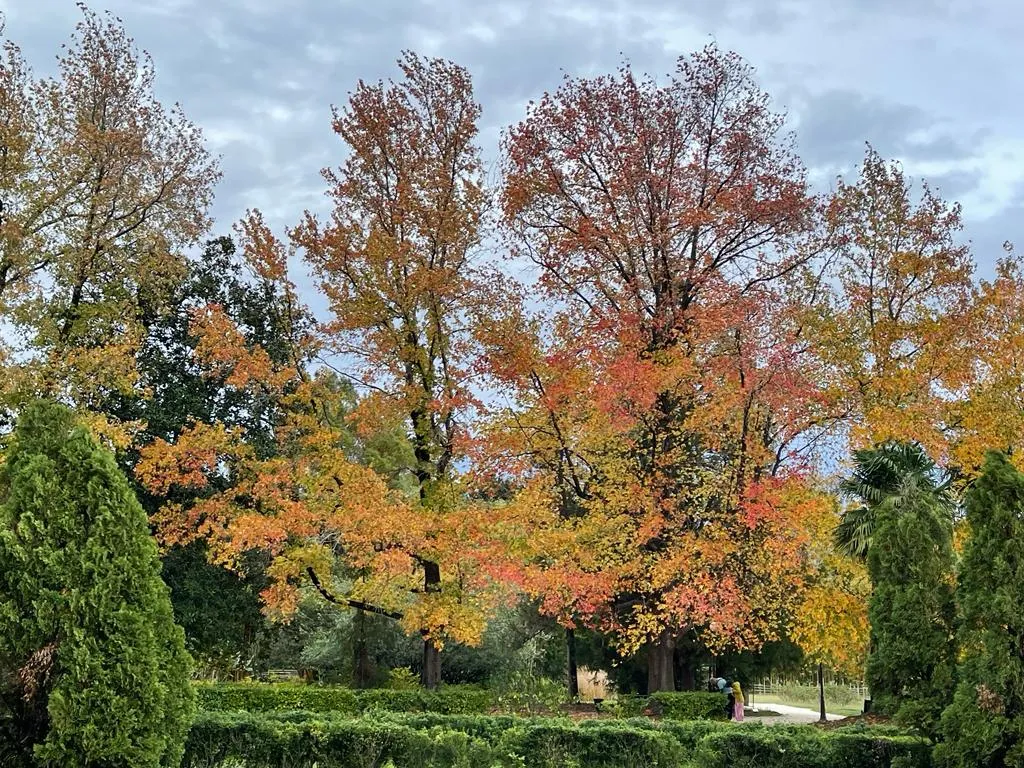 Уютная квартира с потрясающим ремонтом и панорамным видом на море