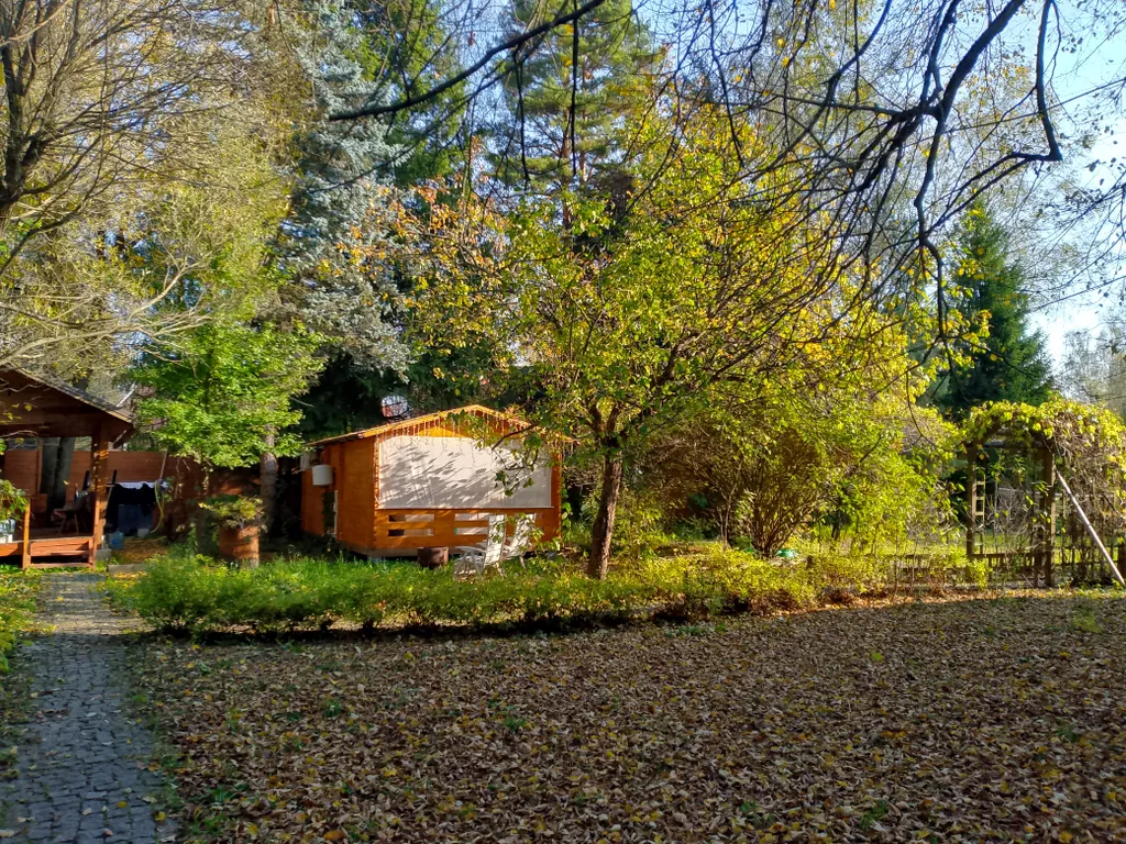 Коттедж Домик Африка в Саду, 3 спальных места — аренда посуточно в Пушкино