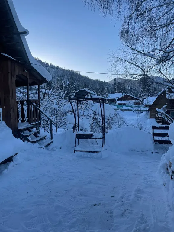 Тихое и спокойное местечко - Кедровый рай