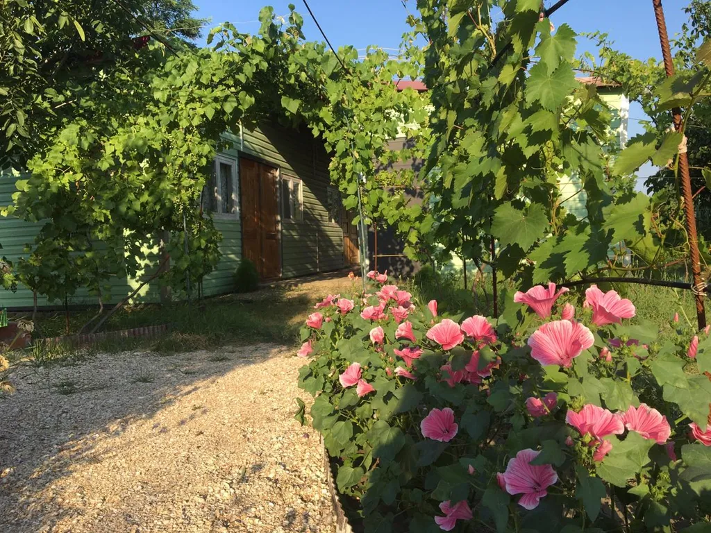 Домик у моря