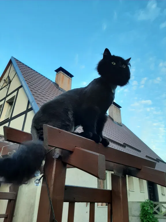 Гостевой домик Листья травы в исторической части города