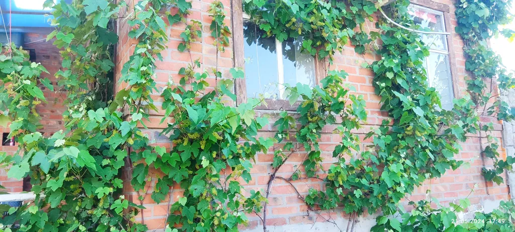 Домик с видом на море