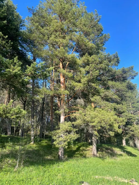 Гостеприимный дом