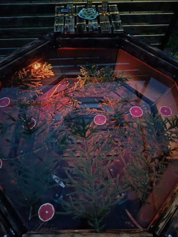 Коттедж Гостевой дом с русской баней и уличной купелью — Кириши