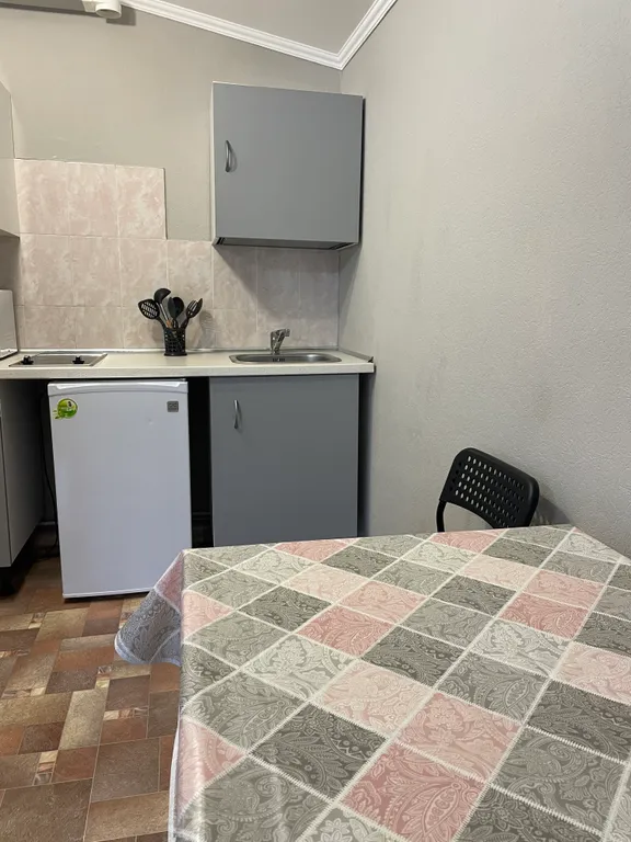 Уютная студия с видом на горы