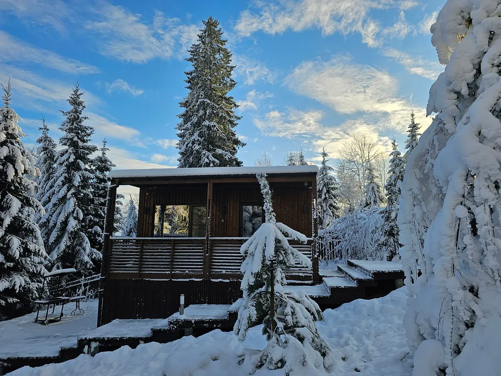 Коттедж 2-комнатный Дом — аренда посуточно в Сосново