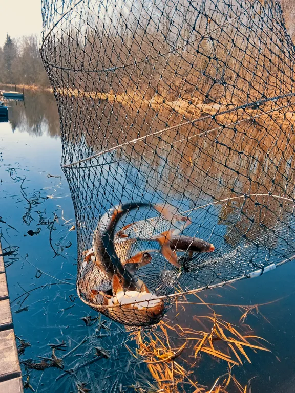 Коттедж Семейный коттедж на берегу реки Лава — Ручьи