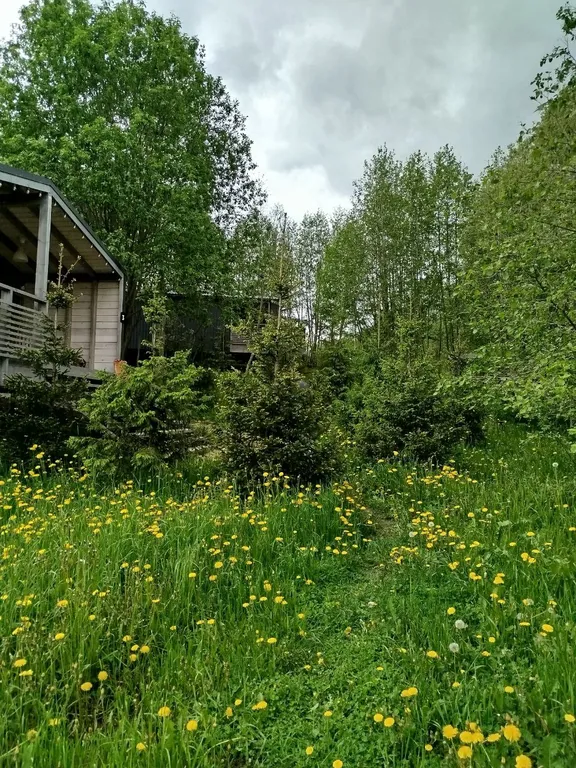 Дом на Речке