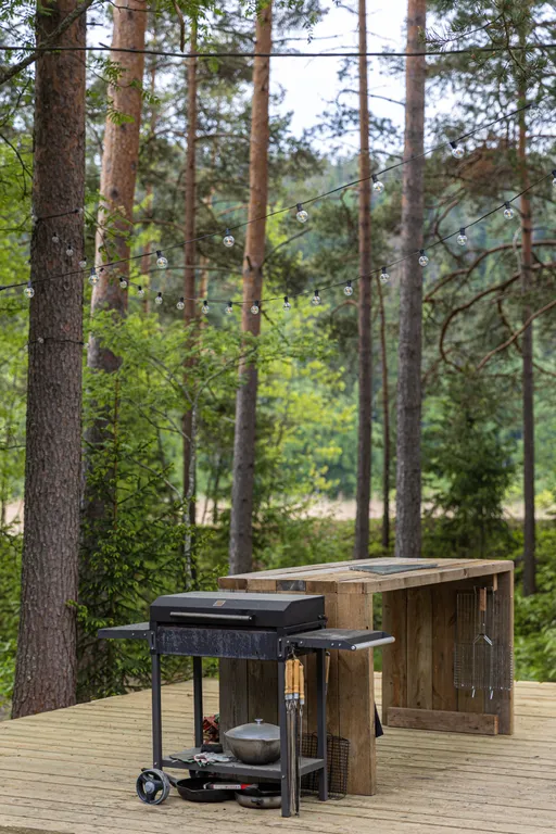 Стильный дом на берегу Ладожского озера с панорамным видом