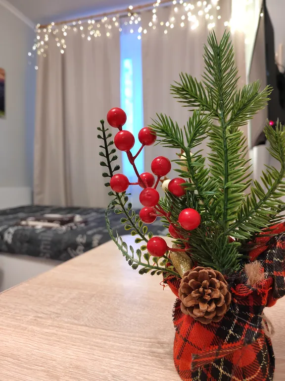 Квартира Квартира-студия, 20,5 м² — Лобня