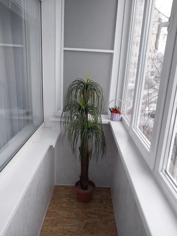 Рядом буртасы, кардиоцентр, термолэнд