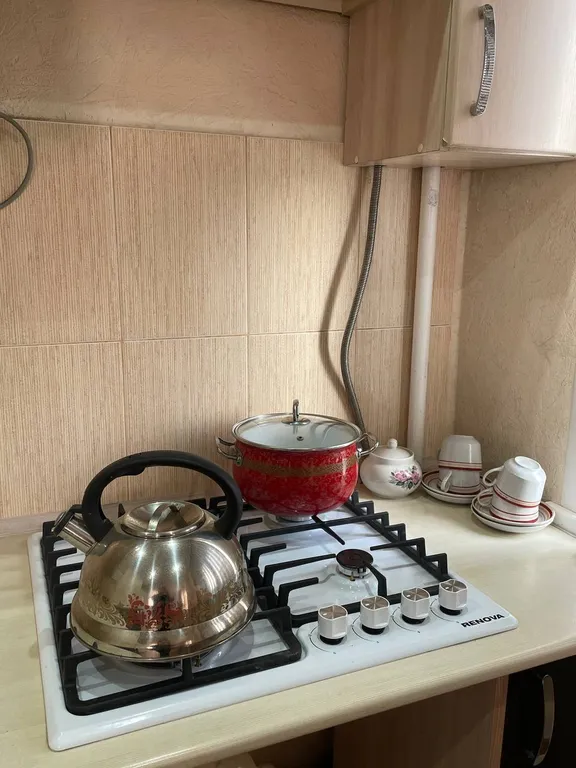 Уютная студия в центре города