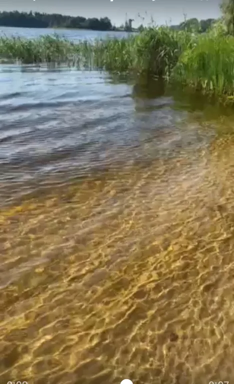 Дом Охотника