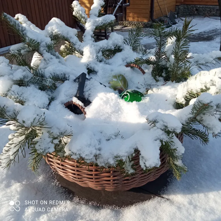 Дом с видом на реку