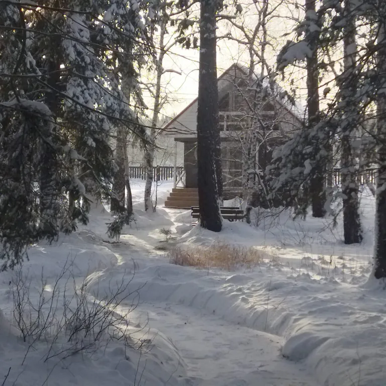 Лесной домик Калина с кедровой сауной, горячей купелью и видом на тайгу