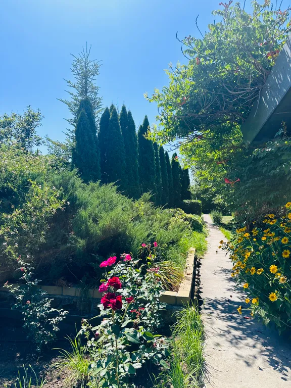 Континент - загородный оазис