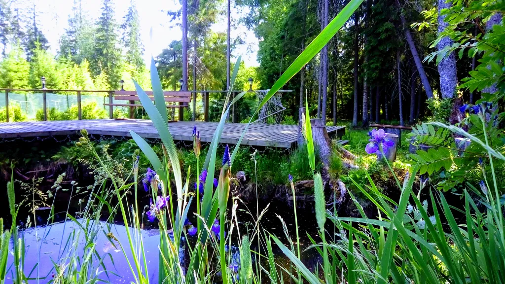 Коттедж Коттедж Сапфир с теплым бассейном и баней — Агалатово