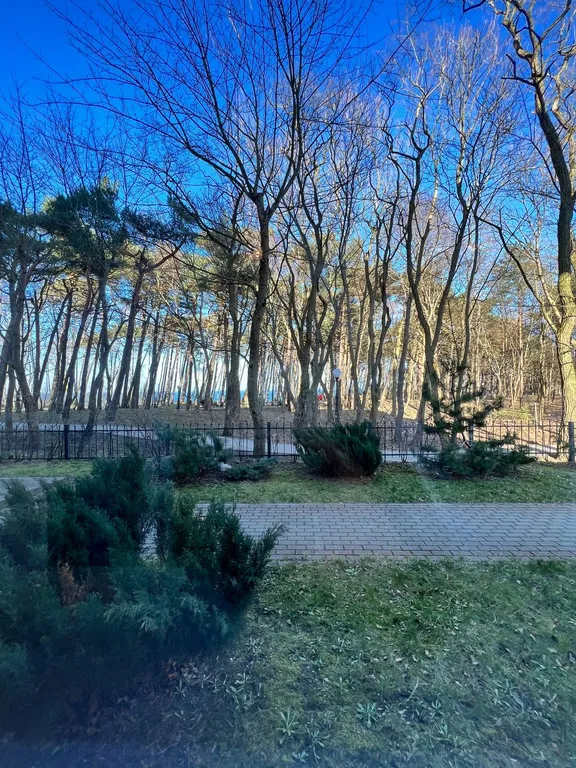 Апартаменты для семьи с видом на море