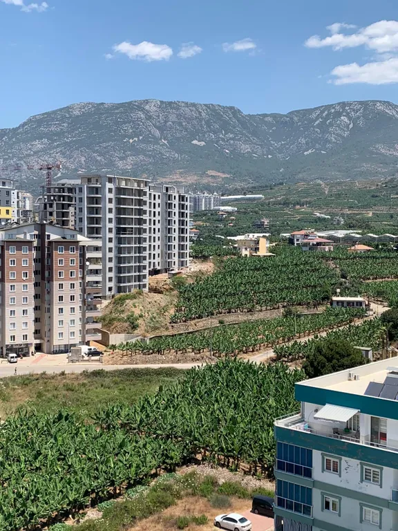 The best view in the angels home