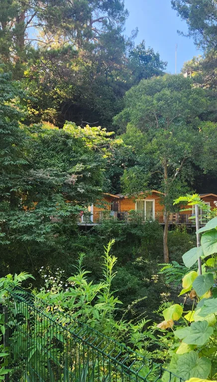 Домики на берегу моря