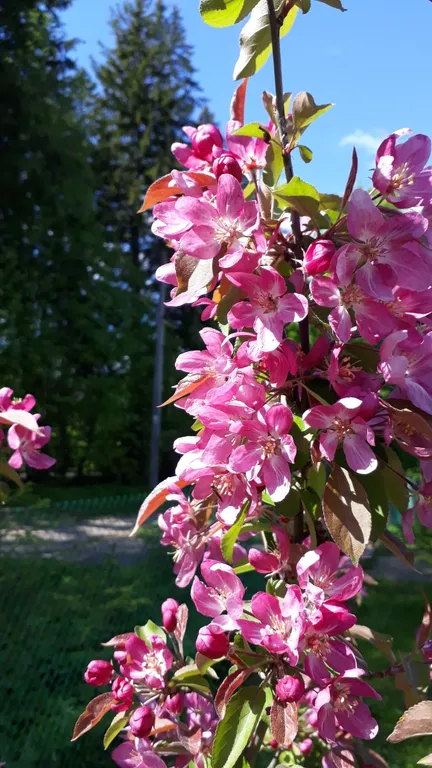 Дом с сауной у озера