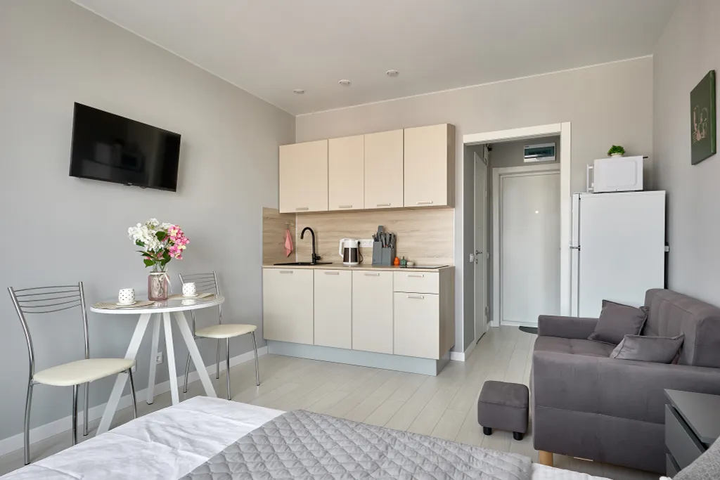 Студия рядом с аэропортом внуково