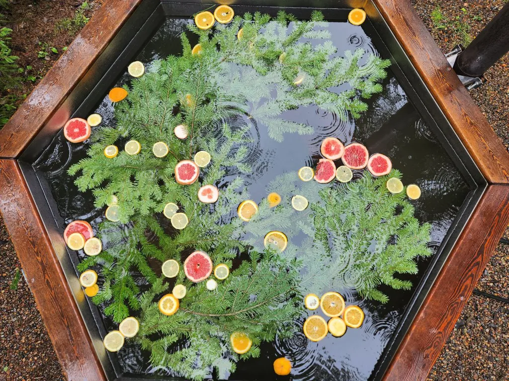 Дом с панорамным видом на лес