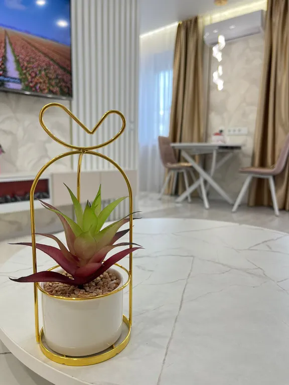 Очень уютная квартира