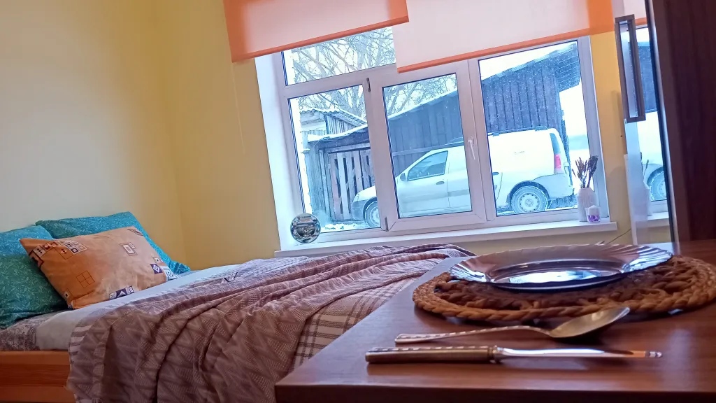 С видом на берег озера с лебедями, в историческом центре, с 1 кроватью