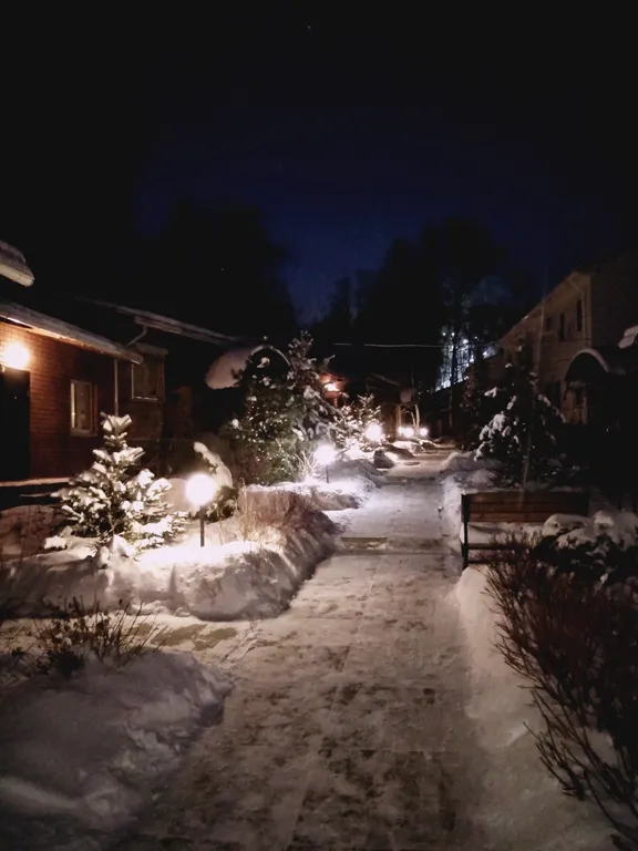 Таунхаус с видом на лес