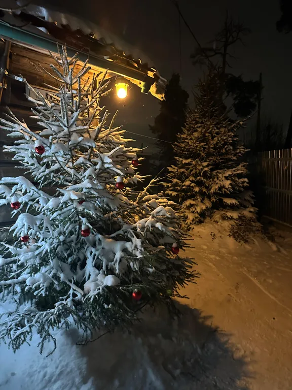 Дом в городе петрозаводске с красивым уединённым участком и баней