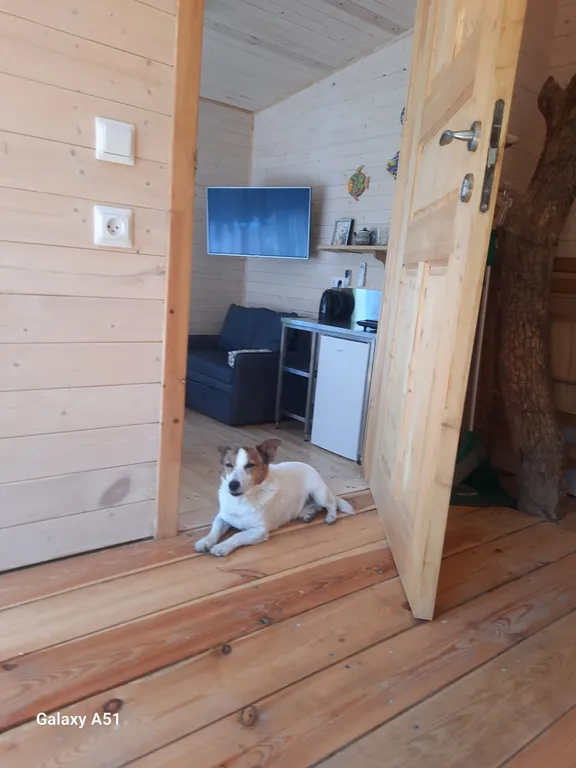 Коттедж с баней и тёплым джакузи