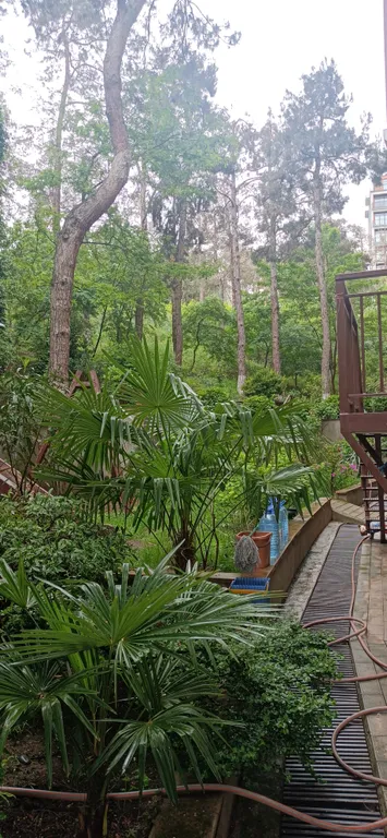 Однокомнатный номер в мини-отеле у Этнографического музея