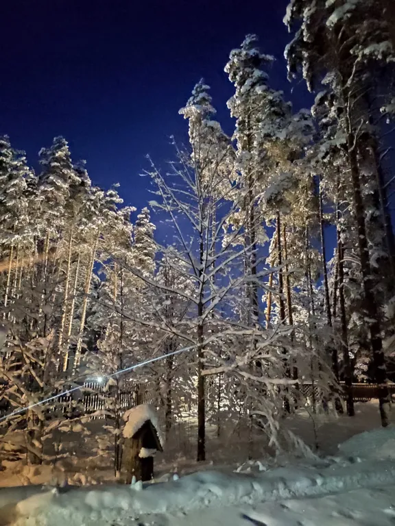 Уютный коттедж в сосновом лесу на берегу Суходольского озера